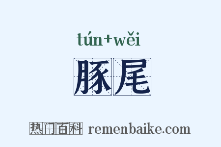 豚尾是什么意思的图片